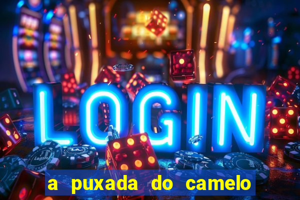 a puxada do camelo no jogo do bicho